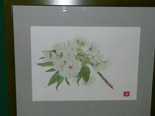 20130419-3.jpg