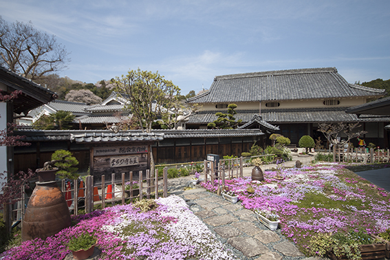 20140411_hana.jpg