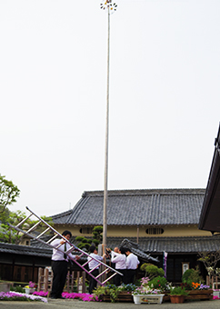 20140417_koinobori01.jpg