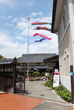 20140417_koinobori03.jpg