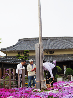 20140417_koinobori04.jpg