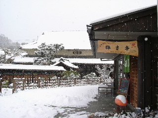 2005_1222kishitei_yuki.JPG